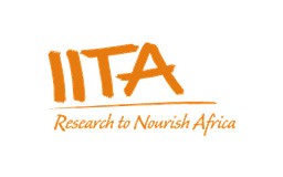 IITA IITA