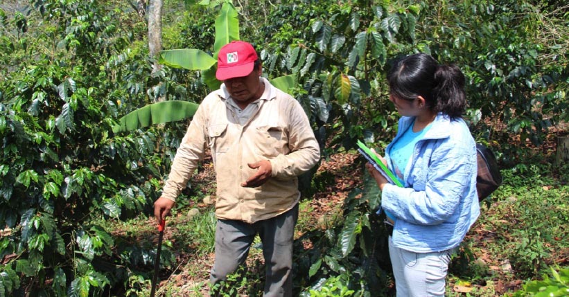 Observations from a Costa Rican Supply Chain Tour
