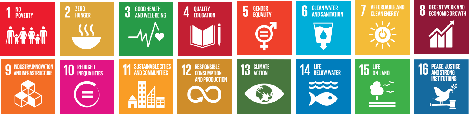 17 SDGs
